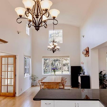 Modern Lifestyle Retreat With Stunning City View 奥克兰 外观 照片